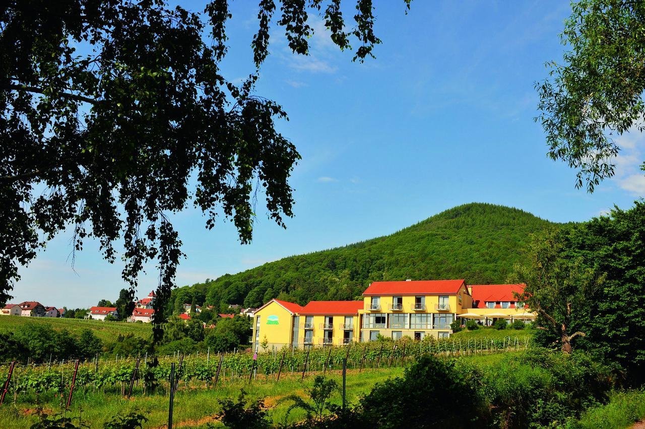 Wohlfuehlhotel Alte Rebschule Rhodt unter Rietburg Εξωτερικό φωτογραφία