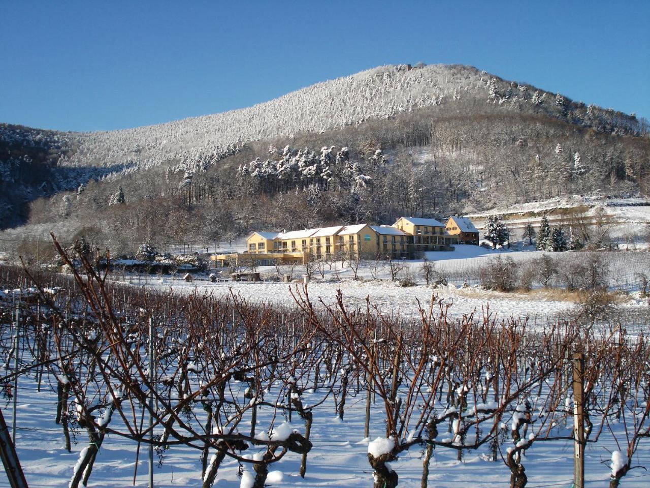 Wohlfuehlhotel Alte Rebschule Rhodt unter Rietburg Εξωτερικό φωτογραφία